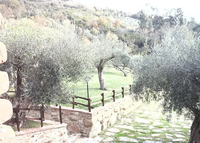مزرعة للإقامة Spinaruccoli Cicerale